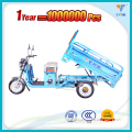 Three wheel 60 v 1000 w brushless dc motor electric vehicle